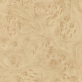 Стеновая панель МДФ, Береза карельская  светлая, 240х6х2700 мм