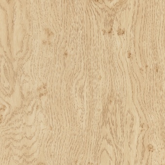 Дуб сучковаты светлый