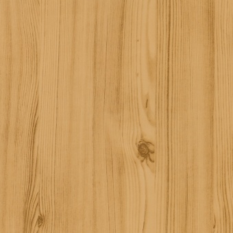 Сосна золотистая