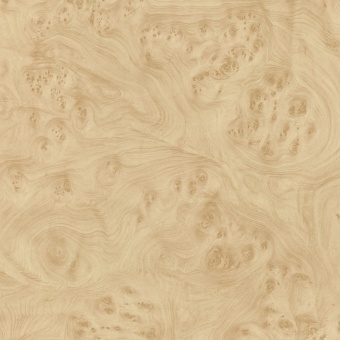 Береза карельская светлая