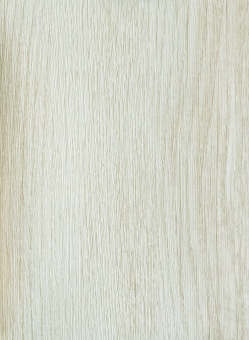 Дуб светлый